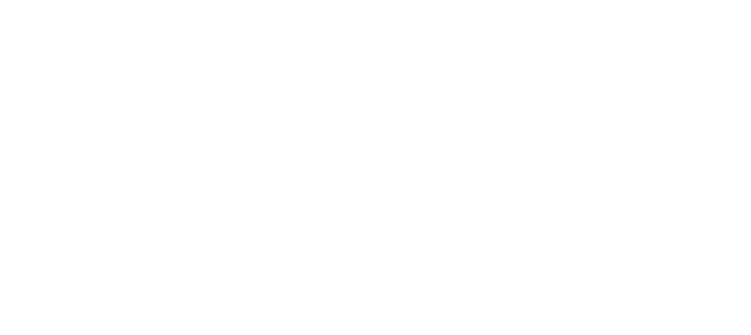 Agenzia Fiico